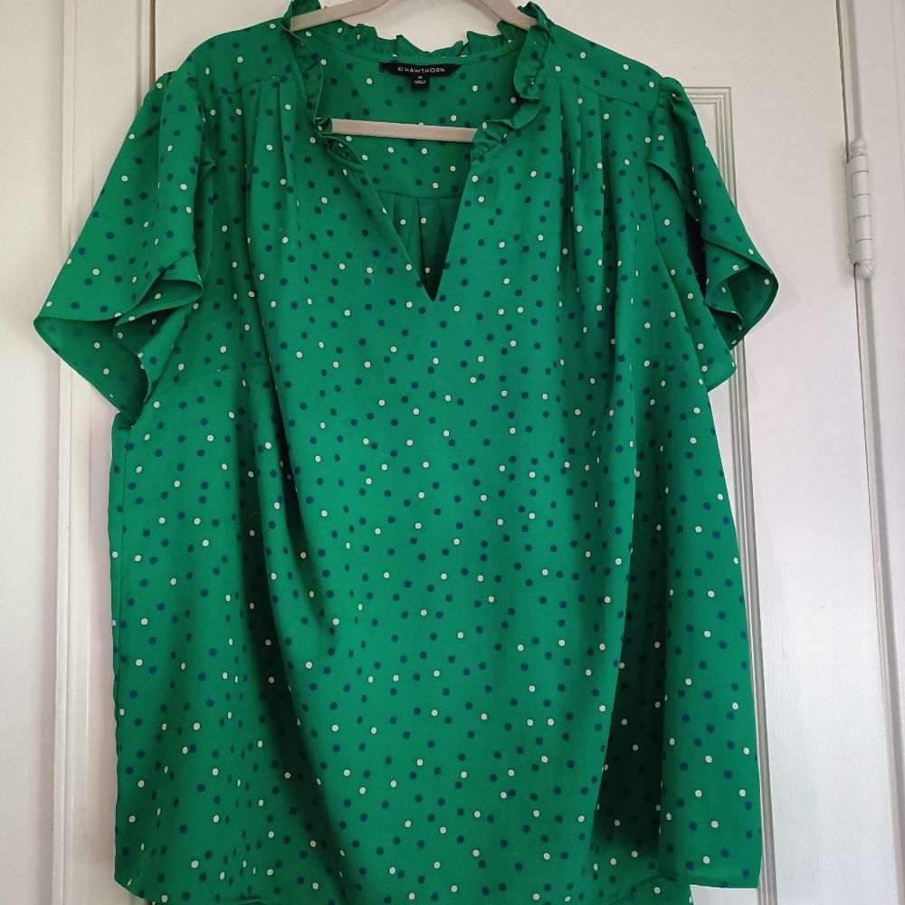 41 HAWTHORN Tiffiny Tulip Sleeve Blouse.